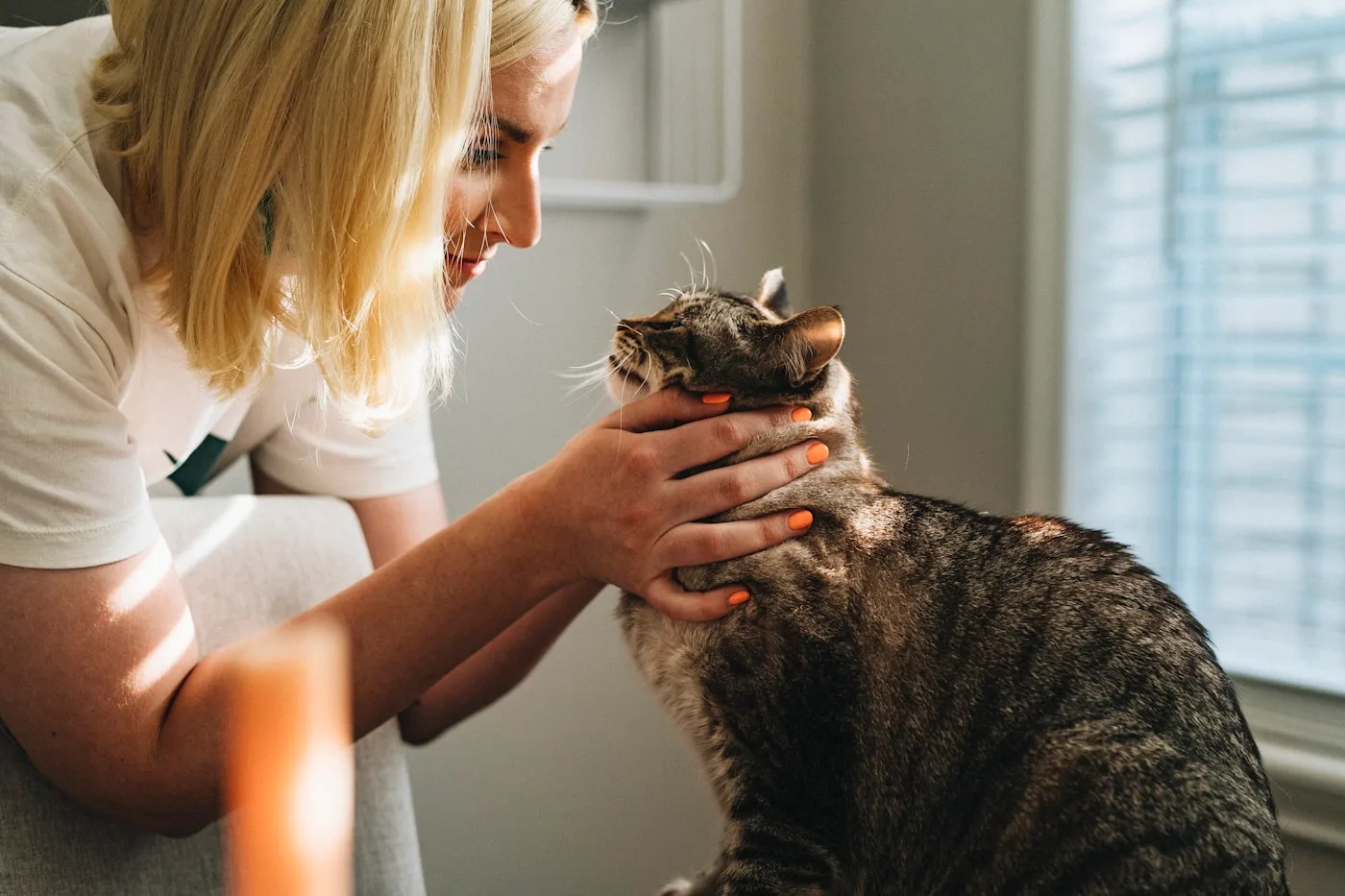 Choosing the Right Veterinarian in Palmdale - Vets in Palmdale California