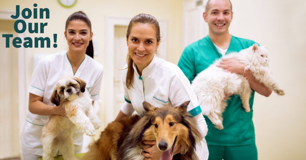 AV Veterinary Center | Full-Service 
